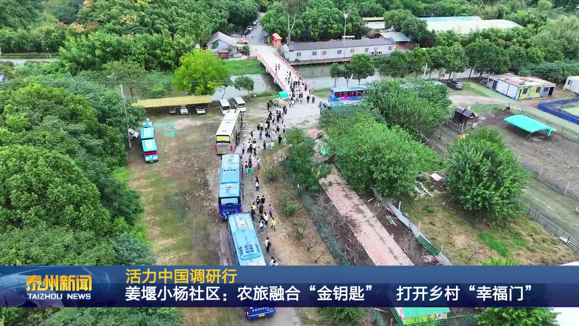 活力中国调研行  姜堰小杨社区：农旅融合“金钥匙”  打开乡村“幸福门”